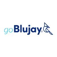 Blujay LLC image 1
