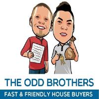 The Odd Brothers image 1
