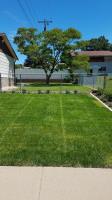 American Lawn and Landscaping image 2