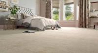 Safe-Dry® Carpet Cleaning of Greensboro image 2