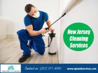 Clean Pillar Maid Services image 4