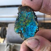 Silver State Turquoise image 2