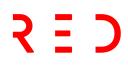 RED Digital Marketing Group logo