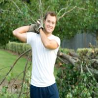 An-Affordable Tree Service LLC image 2