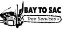 Bay To Sac Tree Services logo