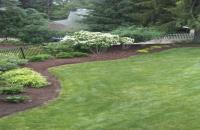 MB Landscaping & Gardening Services image 3