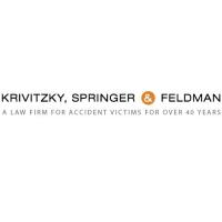 Krivitzky, Springer & Feldman image 9