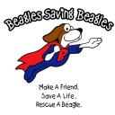 Beagle Rescue, Education, and Welfare (BREW), Inc. logo