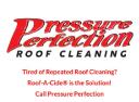 Pressure Perfection logo
