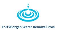 Fort Morgan Water Removal Pros image 1