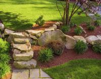 Happy tree landscaping image 3