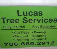Lucas Tree Service image 1