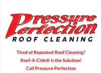 Pressure Perfection Roof Cleaning image 1