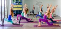 Lotus Yoga & Wellness Spa image 3