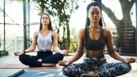 Lotus Yoga & Wellness Spa image 4