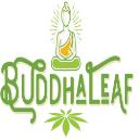 Buddha Leaf - Lincoln logo