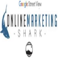 Online Marketing Shark image 1
