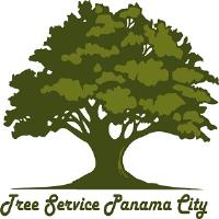Full Tree Service Panama City image 2