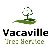 Vacaville Tree Service image 7