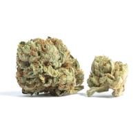 Kwik Cannabis image 33