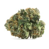 Kwik Cannabis image 40
