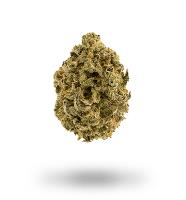 Kwik Cannabis image 42