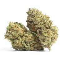 Kwik Cannabis image 43