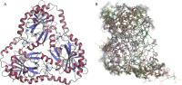 magnetic beads dna image 1