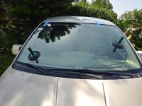 Windshield Specialists image 5