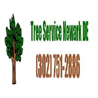 Newark DE Tree Service image 4