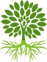 Root Cause, LLC logo