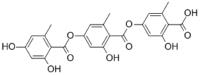 Gyrophoric acid image 1