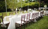 Wedding & Event Decor – CleanLife image 3