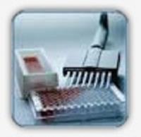 mouse antibody isotyping kit image 1