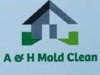 A & H Mold Clean image 1