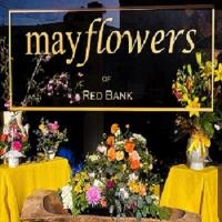 Mayflowers of Red Bank image 1