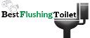 Best Flushing Toilet logo