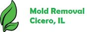 Mold Removal Cicero image 1