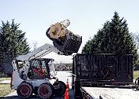 Tree Service Jacksonville NC image 3