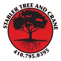 Stabler Tree and Crane image 1