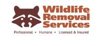 Wildlife Removal Services image 1