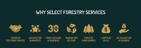 Select Forestry Services image 4
