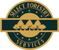 Select Forestry Services image 31
