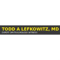 Todd A. Lefkowitz MD Expert Ophthalmology Witness image 2