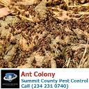 Summit County Pest Control logo
