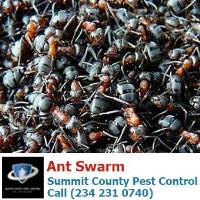 Summit County Pest Control image 5
