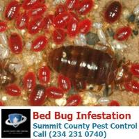 Summit County Pest Control image 6