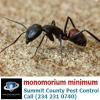 Summit County Pest Control image 10