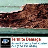 Summit County Pest Control image 12