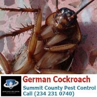 Summit County Pest Control image 13